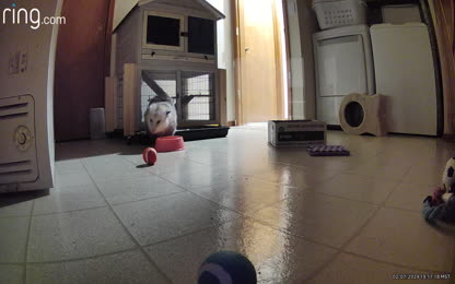 0c2a4427cf4847e5b0cee1d2a38b66a5.064.mp4