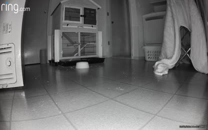 2cd0d29c43684a569f5a9494e6648f3b.144.mp4