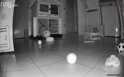 3d2a202a37064b48a29ee2b7e52efd3a.068.mp4