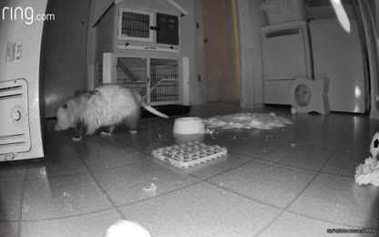 3095f4ddf182436d9887f29d461fbd55.072.mp4