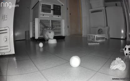 3ad3da0ecc3a41cc9ef9334a93d286f1.153.mp4