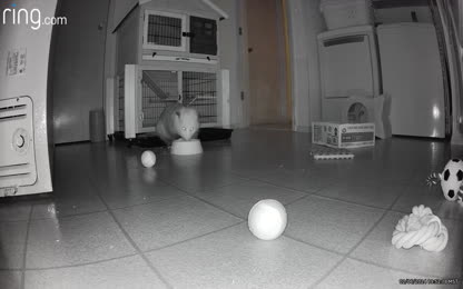 468abdb4a6a54a8980d42de89f6d2922.084.mp4