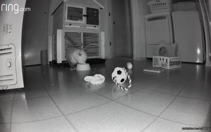 60eb1d4b7ffe42928b325bec8a6696f5.127.mp4