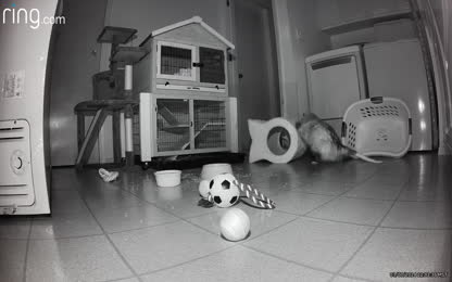 3d86de4901c144269ec2098ce8ba83b2.045.mp4