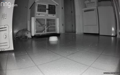 620508e872274d7d815feb3ba6676b77.041.mp4