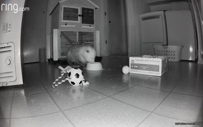 41977d6800444f13859bbabe2e6517b4.111.mp4