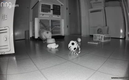 846e070b2dda40939ed84a92b9e300f7.119.mp4