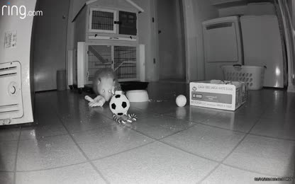 71fae5c7d9ad4e4b87959779d9388521.117.mp4