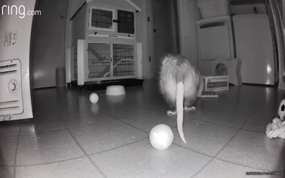 6c8021b5ed6844ee9cc3a5fe8d81a649.104.mp4