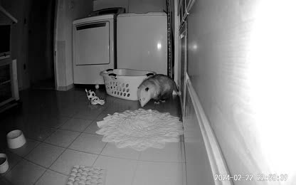 7fd0b248eb8d48f6ab47f80b8af36571.066.mp4