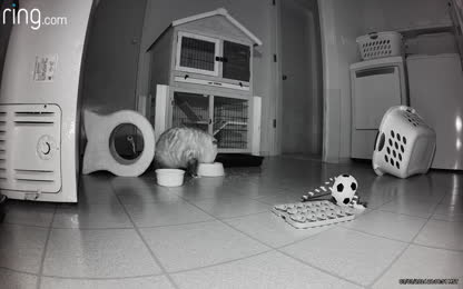 0350ec0c9de74ecd87bb99d547f4a268.095.mp4