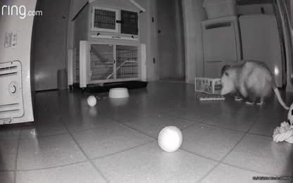 f45bd2043d674112b88f25828ade34be.096.mp4